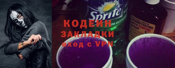 хмурый Покачи