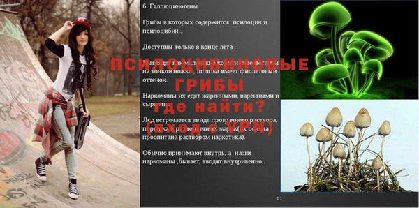 хмурый Покачи