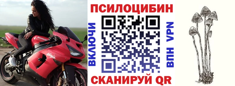 Псилоцибиновые грибы Cubensis Южноуральск
