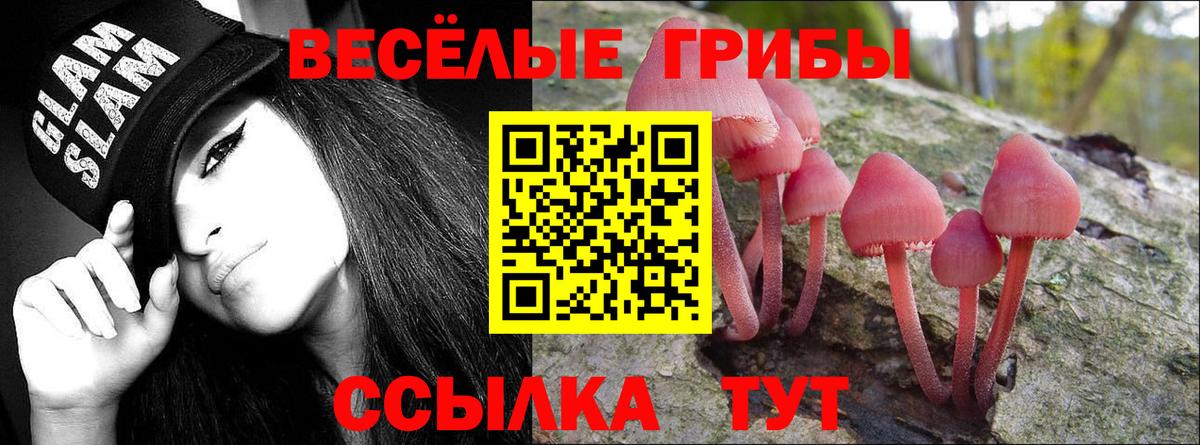 Псилоцибиновые грибы Cubensis Южноуральск